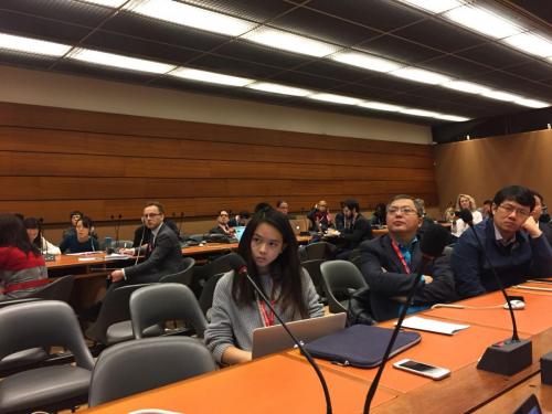 The United Nations Internet Governance Forum in Geneva.